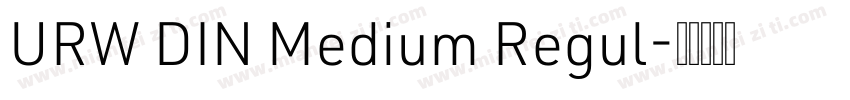 URW DIN Medium Regul字体转换